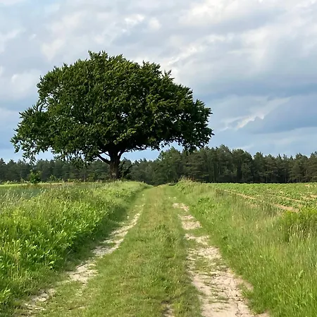 Gemütliche Im Keller Apartamento *