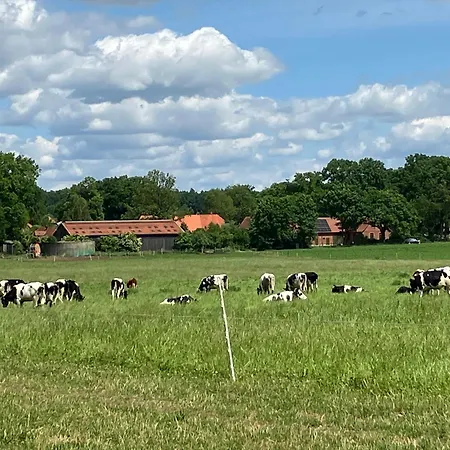 Apartamento Gemütliche Im Keller *