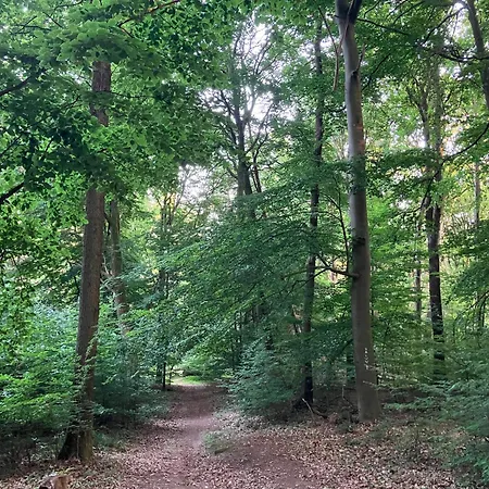 Gemütliche Im Keller Apartamento